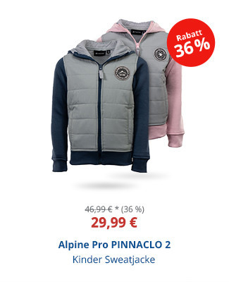 Alpine Pro PINNACLO 2
