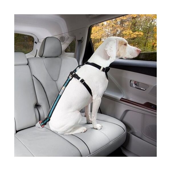 Kurgo DIRECT TO SEATBELT TETHER Bezpečnostní pás pro psa do auta, černá, velikost